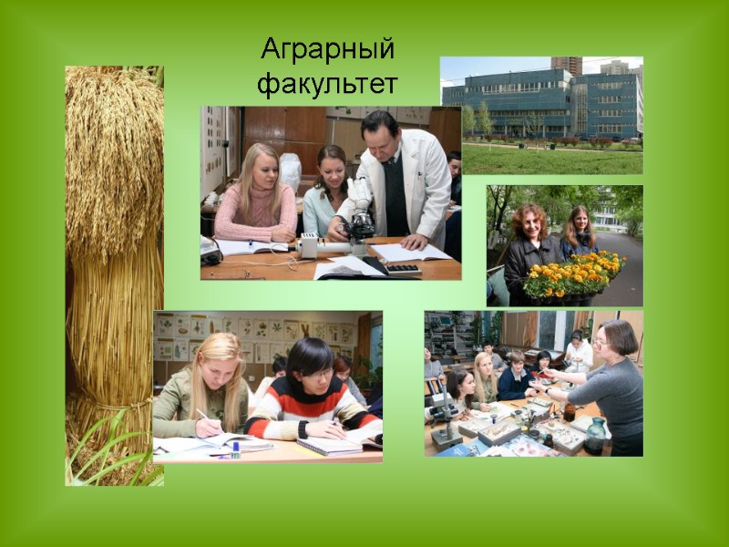 Аграрный факультет